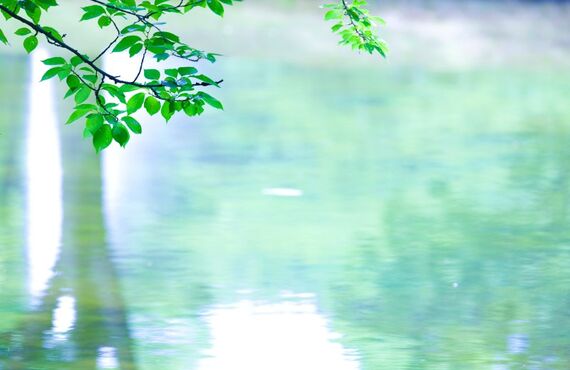 鬼滅の刃
